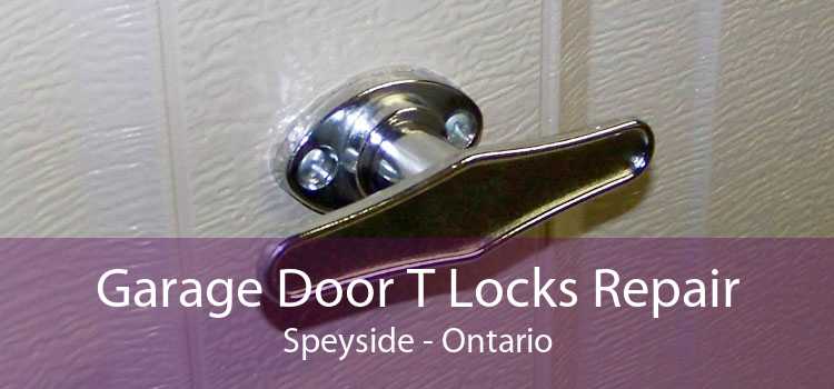 Garage Door T Locks Repair Speyside - Ontario