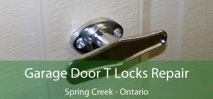 Garage Door T Locks Repair Spring Creek - Ontario