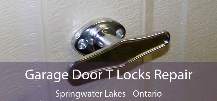 Garage Door T Locks Repair Springwater Lakes - Ontario