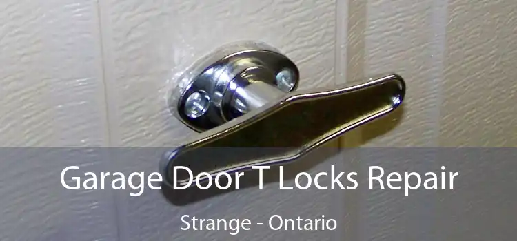 Garage Door T Locks Repair Strange - Ontario