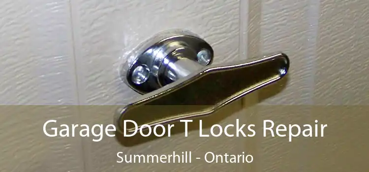 Garage Door T Locks Repair Summerhill - Ontario