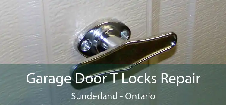 Garage Door T Locks Repair Sunderland - Ontario