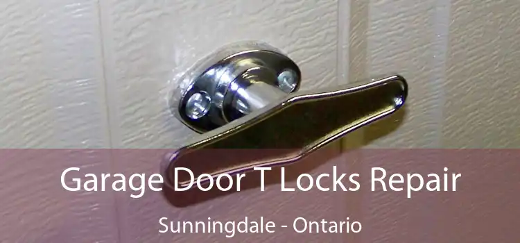 Garage Door T Locks Repair Sunningdale - Ontario