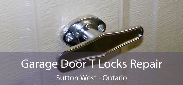 Garage Door T Locks Repair Sutton West - Ontario