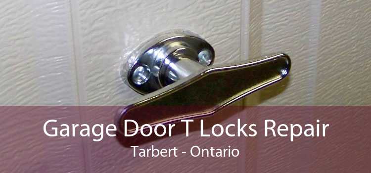 Garage Door T Locks Repair Tarbert - Ontario