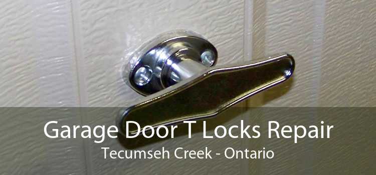 Garage Door T Locks Repair Tecumseh Creek - Ontario