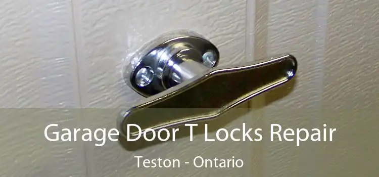 Garage Door T Locks Repair Teston - Ontario