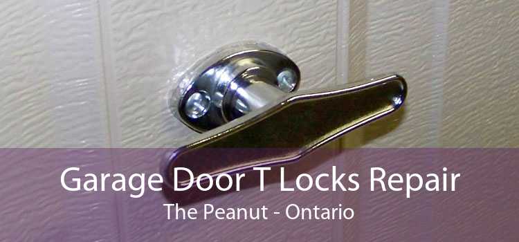 Garage Door T Locks Repair The Peanut - Ontario