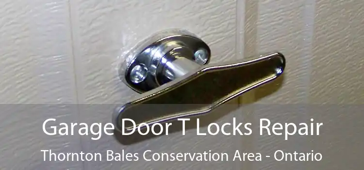 Garage Door T Locks Repair Thornton Bales Conservation Area - Ontario