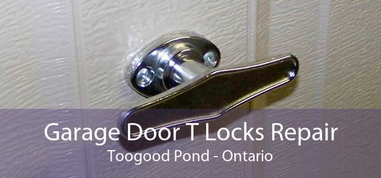 Garage Door T Locks Repair Toogood Pond - Ontario