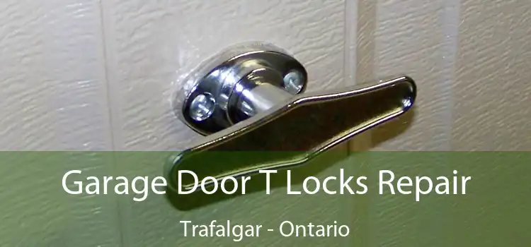 Garage Door T Locks Repair Trafalgar - Ontario