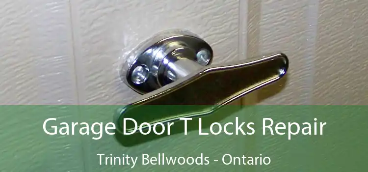 Garage Door T Locks Repair Trinity Bellwoods - Ontario