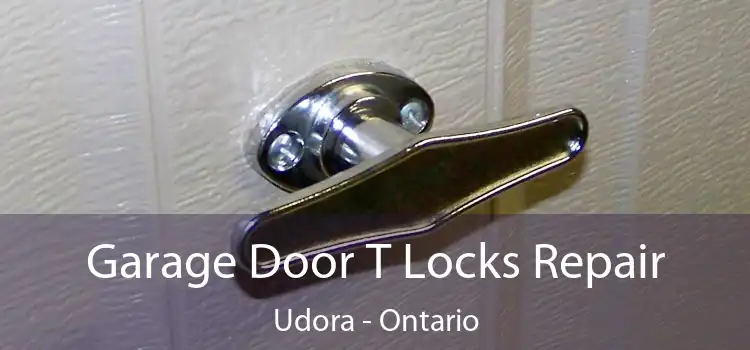 Garage Door T Locks Repair Udora - Ontario
