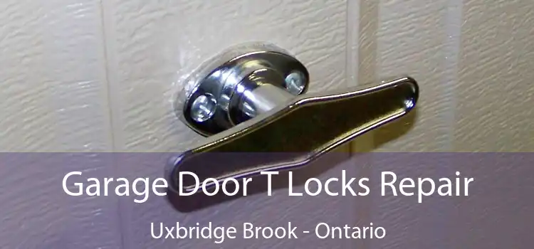 Garage Door T Locks Repair Uxbridge Brook - Ontario