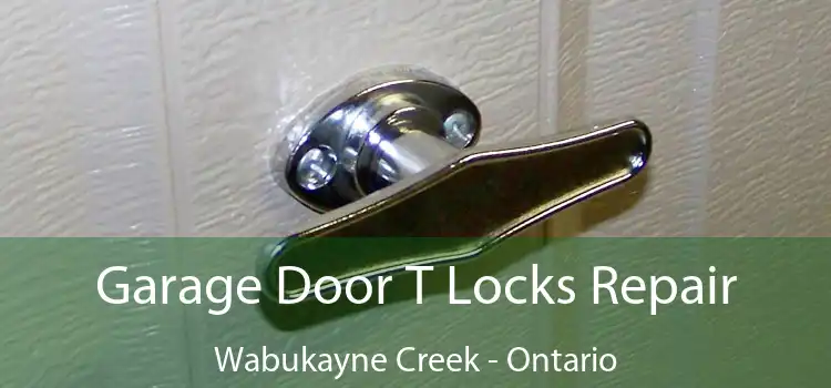 Garage Door T Locks Repair Wabukayne Creek - Ontario
