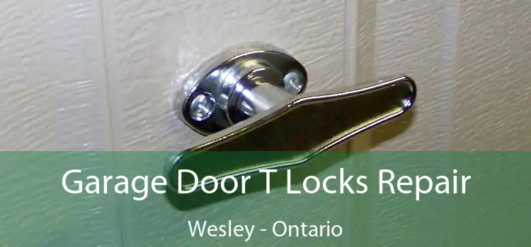 Garage Door T Locks Repair Wesley - Ontario