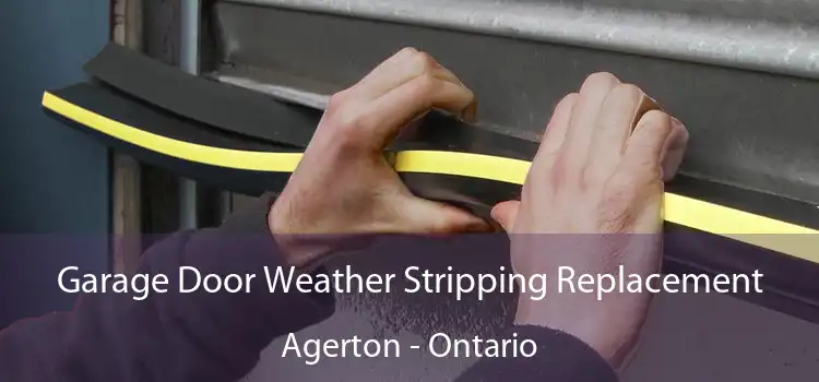 Garage Door Weather Stripping Replacement Agerton - Ontario