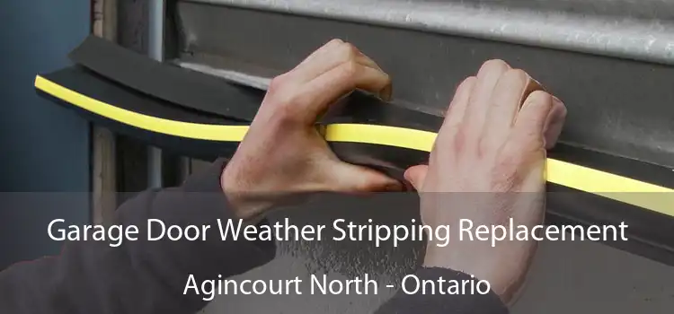 Garage Door Weather Stripping Replacement Agincourt North - Ontario