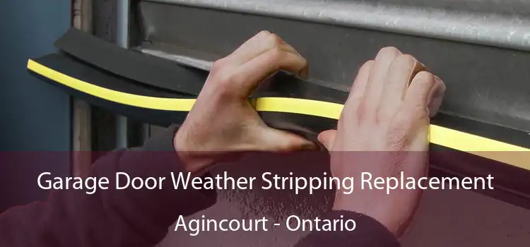 Garage Door Weather Stripping Replacement Agincourt - Ontario