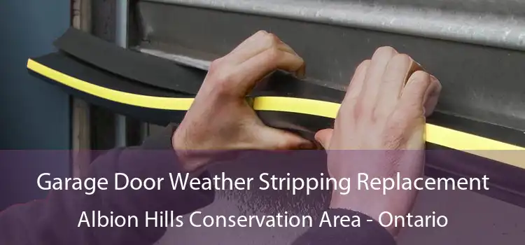 Garage Door Weather Stripping Replacement Albion Hills Conservation Area - Ontario