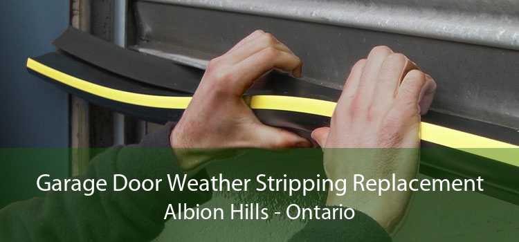 Garage Door Weather Stripping Replacement Albion Hills - Ontario