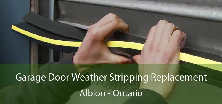 Garage Door Weather Stripping Replacement Albion - Ontario