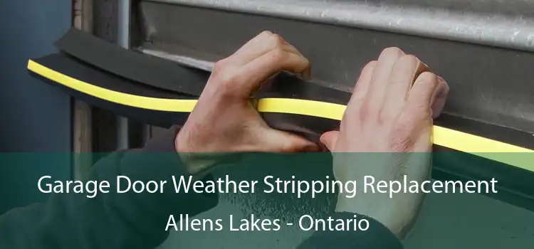 Garage Door Weather Stripping Replacement Allens Lakes - Ontario