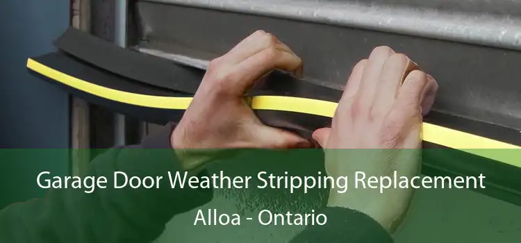 Garage Door Weather Stripping Replacement Alloa - Ontario