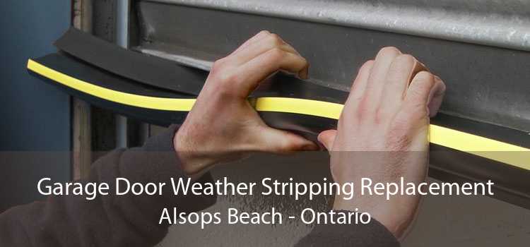 Garage Door Weather Stripping Replacement Alsops Beach - Ontario