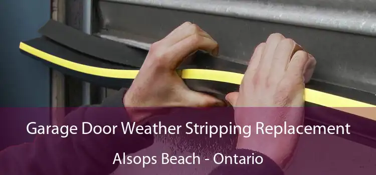 Garage Door Weather Stripping Replacement Alsops Beach - Ontario