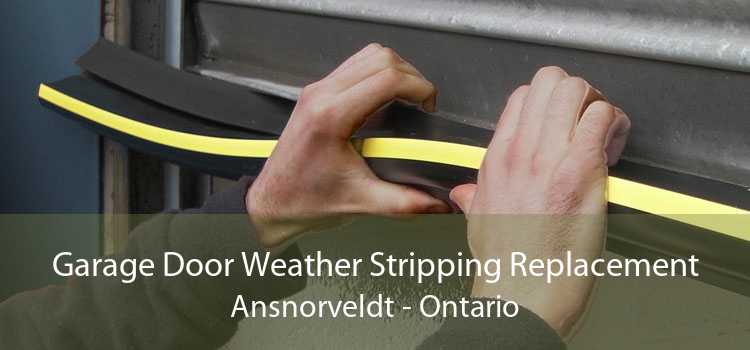 Garage Door Weather Stripping Replacement Ansnorveldt - Ontario
