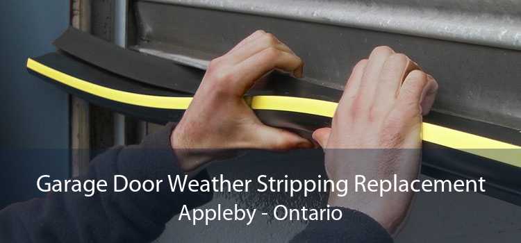 Garage Door Weather Stripping Replacement Appleby - Ontario