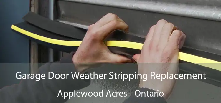 Garage Door Weather Stripping Replacement Applewood Acres - Ontario