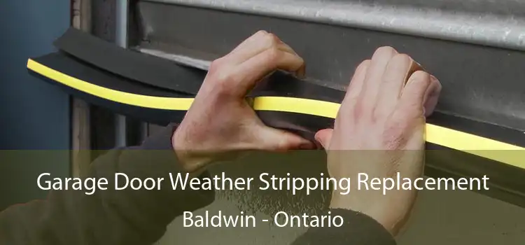 Garage Door Weather Stripping Replacement Baldwin - Ontario