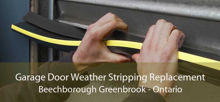 Garage Door Weather Stripping Replacement Beechborough Greenbrook - Ontario