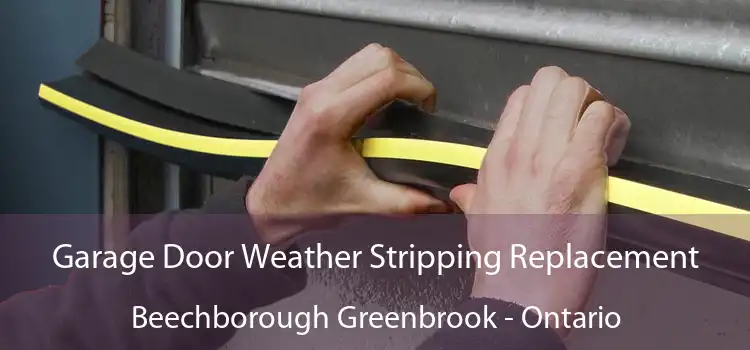 Garage Door Weather Stripping Replacement Beechborough Greenbrook - Ontario