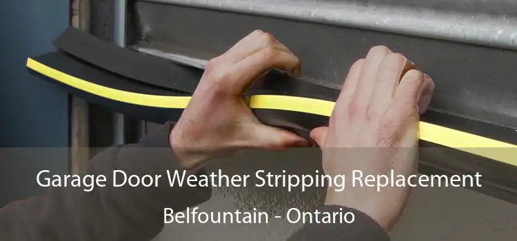 Garage Door Weather Stripping Replacement Belfountain - Ontario