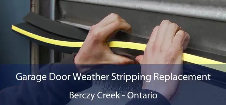 Garage Door Weather Stripping Replacement Berczy Creek - Ontario