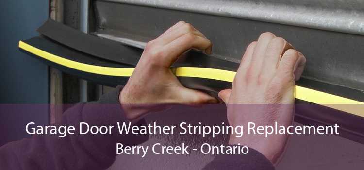 Garage Door Weather Stripping Replacement Berry Creek - Ontario