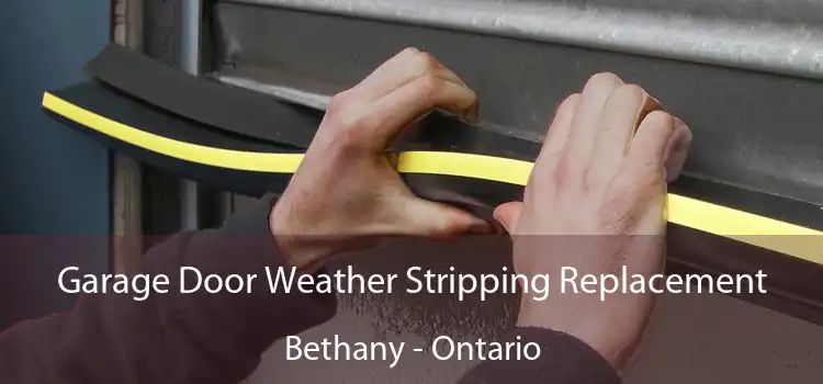 Garage Door Weather Stripping Replacement Bethany - Ontario