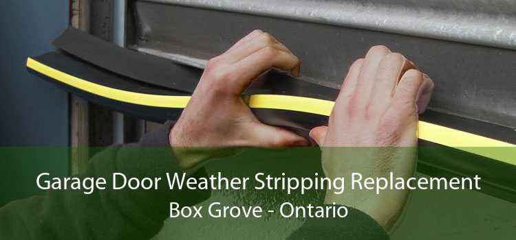 Garage Door Weather Stripping Replacement Box Grove - Ontario
