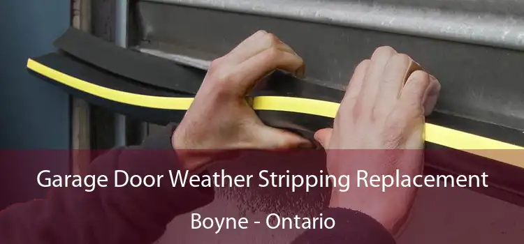 Garage Door Weather Stripping Replacement Boyne - Ontario