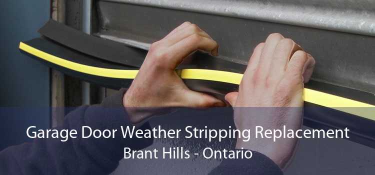Garage Door Weather Stripping Replacement Brant Hills - Ontario