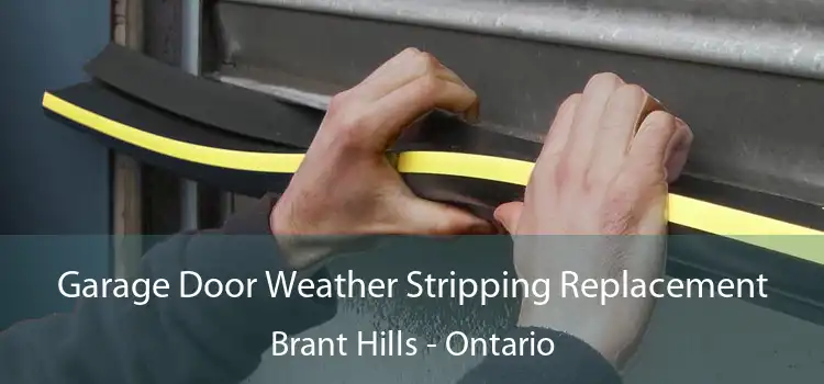 Garage Door Weather Stripping Replacement Brant Hills - Ontario