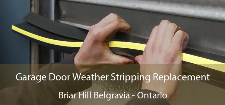 Garage Door Weather Stripping Replacement Briar Hill Belgravia - Ontario