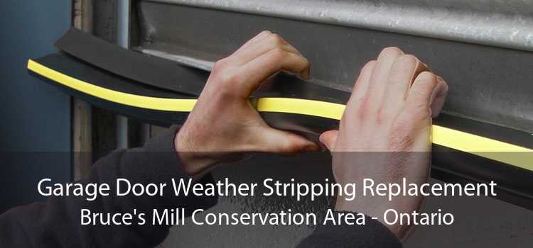 Garage Door Weather Stripping Replacement Bruce's Mill Conservation Area - Ontario
