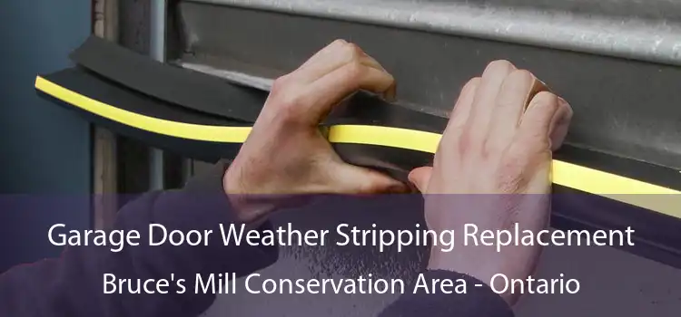 Garage Door Weather Stripping Replacement Bruce's Mill Conservation Area - Ontario