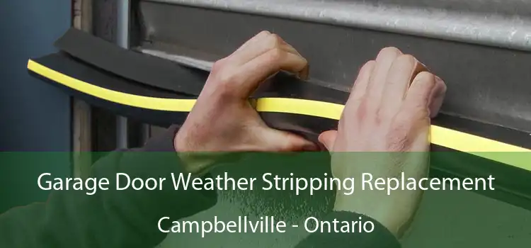 Garage Door Weather Stripping Replacement Campbellville - Ontario