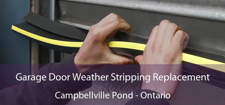 Garage Door Weather Stripping Replacement Campbellville Pond - Ontario