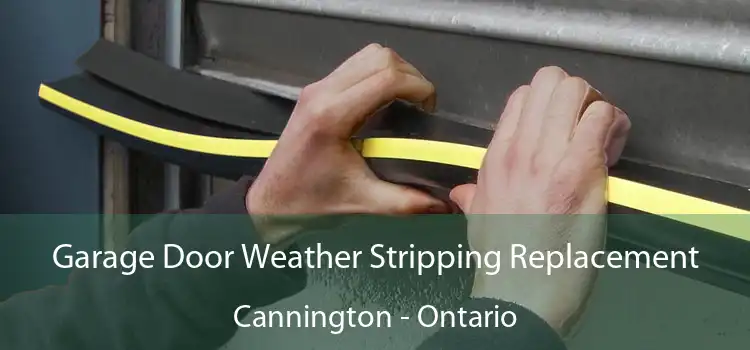 Garage Door Weather Stripping Replacement Cannington - Ontario